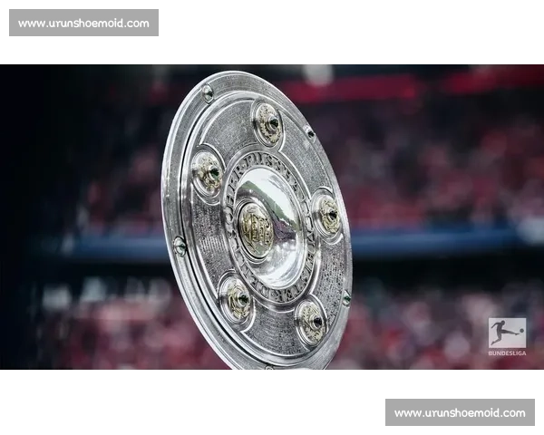 瓦朗谢vs奥尔良激战前瞻实力对比与关键看点解析赛季形势与胜负走向预测